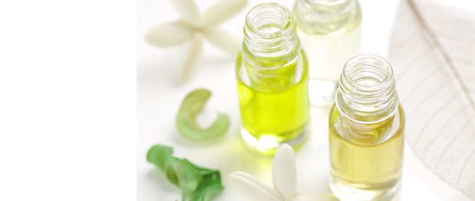  | 公式ホームページ